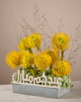 ناتاشا